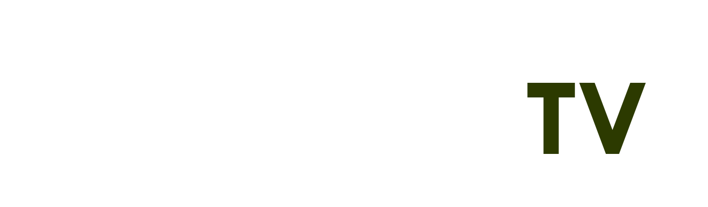 xếp bài